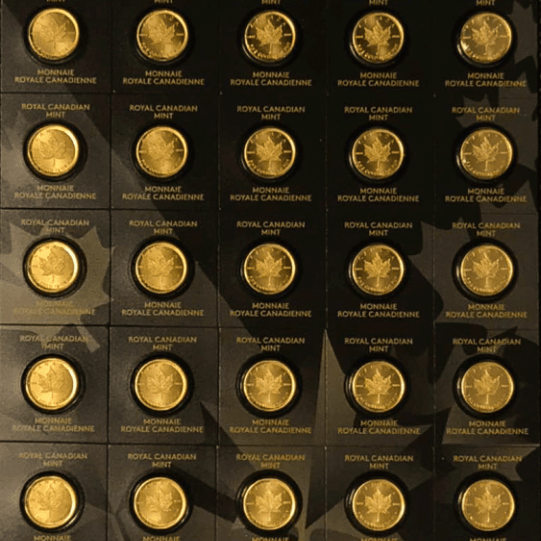 Gold 25 x 1g Maple Leaf